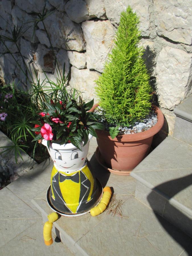 Sobe Bukaleta Loznati Bed & Breakfast Exterior foto